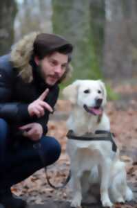 Promener son chien : Les clés pour comprendre les codes du quotidien.