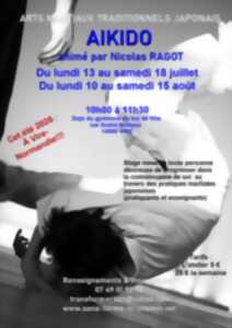 Stage d'arts martiaux traditionnels Japonais - Aikido à Vire Normandie