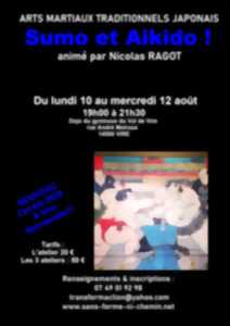 Stage d'Arts martiaux traditionnels Japonais - Sumo et Aikido