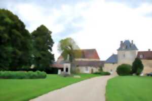 Rendez-vous aux jardin -Parc du château de Trémilly