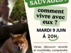 Conférence petits prédateurs sauvages