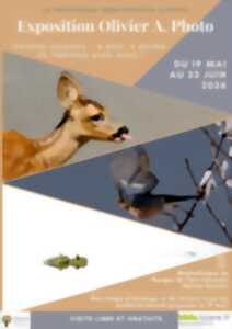 EXPOSITION PHOTOS NATURE