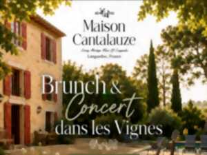 BRUNCH & CONCERT DANS LES VIGNES