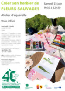 ATELIER D'AQUARELLE