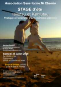 Stage d'été Iaijutsu et Kenjutsu - Arts martiaux traditionnels japonais