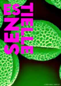EXPOSITION ESSENTIELLE - LA NATURE PAR LES SENS