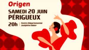 Spectacle de flamenco 