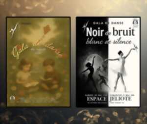 Gala de danse des ados-adultes de Terpsichore