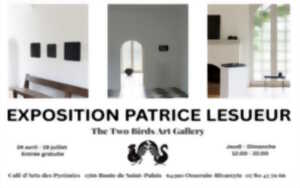 Exposition de Patrice Lesueur