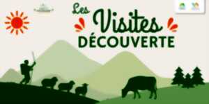 Visite découverte nature