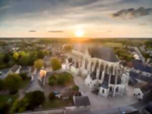 Visite flash de la Basilique Notre-Dame de Cléry