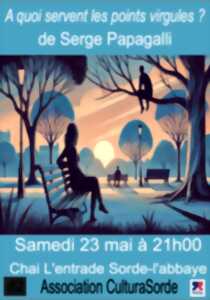 Spectacle : À quoi servent les points virgules ?