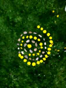 Land'art - Ludobus