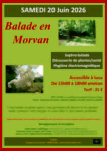 Balade déconnectée en Morvan