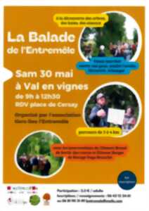 La balade de l'Entremêle
