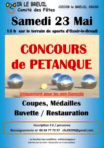 Concours de pétanque