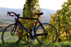 Les échappées à vélo du Chai Gourmet