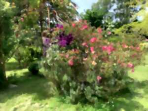 Rendez-vous aux jardins - Le Vicel