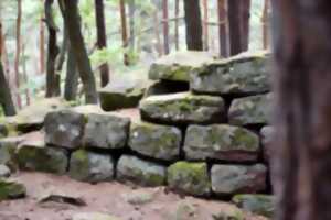 Journées Europeennes de l'Archéologie : le Mur paien