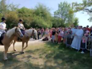Bénédiction des chevaux