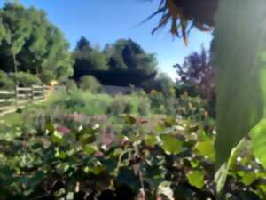 La gourmandise naît de la plante !