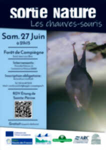 Sortie nature | Les chauves-souris