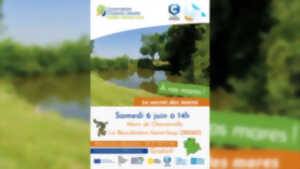 Balade nature : Le sercret des mares