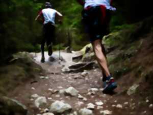 TRAIL DE PRADELLES-CABARDES