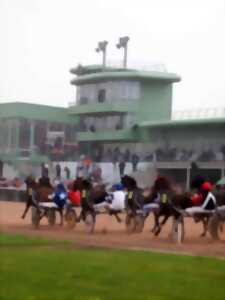Courses hippiques