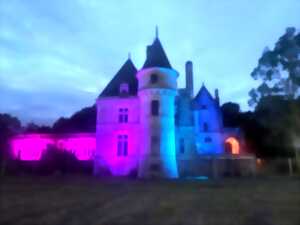 Château de Martinvast