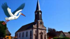 Chasse aux cigognes