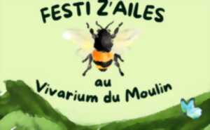 Festi Z'ailes