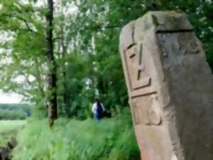 Les Rendez-vous Nature - A la découverte du Langenberg