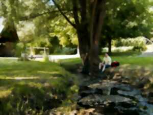 Les Rendez-vous Nature - Murmures, contes en musique