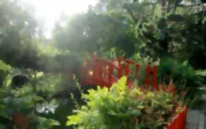 Pause Patrimoine : les jardins acte 2 le jardin botanique