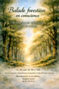 Balade forestière en conscience