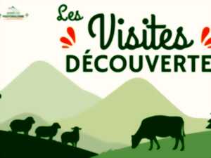 Visite découverte nature