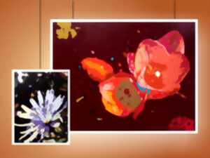 Exposition Claudia Becker : un souffle de couleurs à l’Ancien Musée
