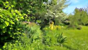 Rendez vous aux jardins : Visite du Jardin d'Artiste à Figeac