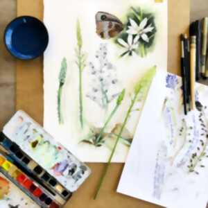 Aquarelles botaniques et illustrations nature