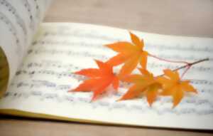 Concert d'automne