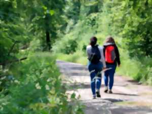 Les Rendez-vous Nature - Découverte de la forêt de Zetting