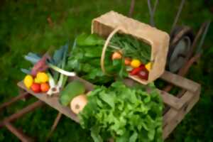 Marché des Producteurs de Pays à Cherveux