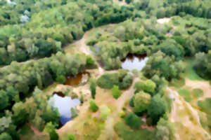 Réserve Naturelle Régionale du Plateau des Landes -  La nature, une richesse pour le patrimoine historique