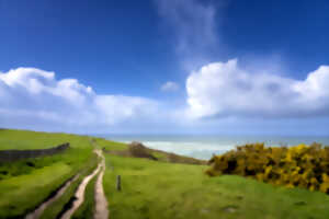 Baie de Wissant - La dune arbustive