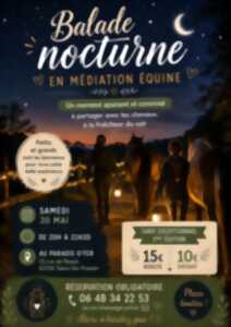 Balade nocturne en médiation équine