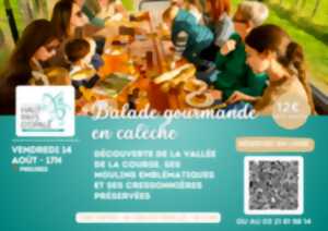 photo Balade en calèche