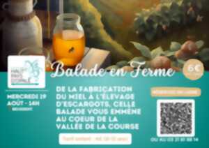 photo Balade en ferme