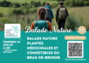 Balade nature plantes médicinales et comestibles du Bras-de-Brosne