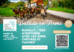 Balade en ferme - Mardi 25 août